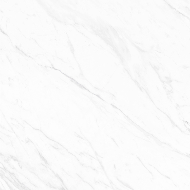 PN08