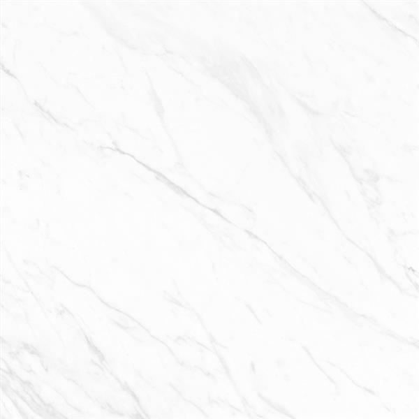 PN08